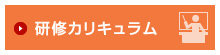 研修カリキュラム