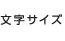 文字サイズ